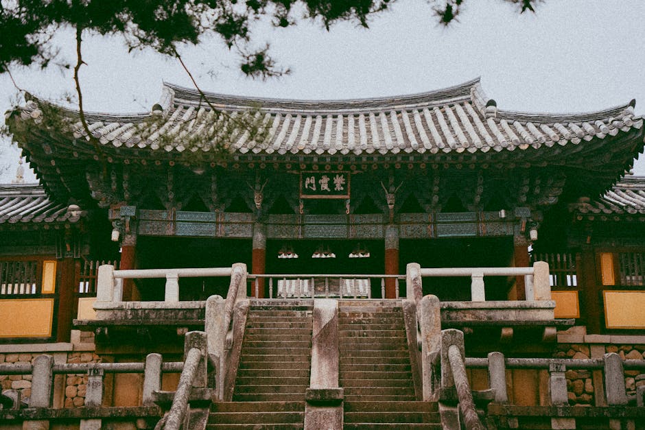 경주 역사문화탐방