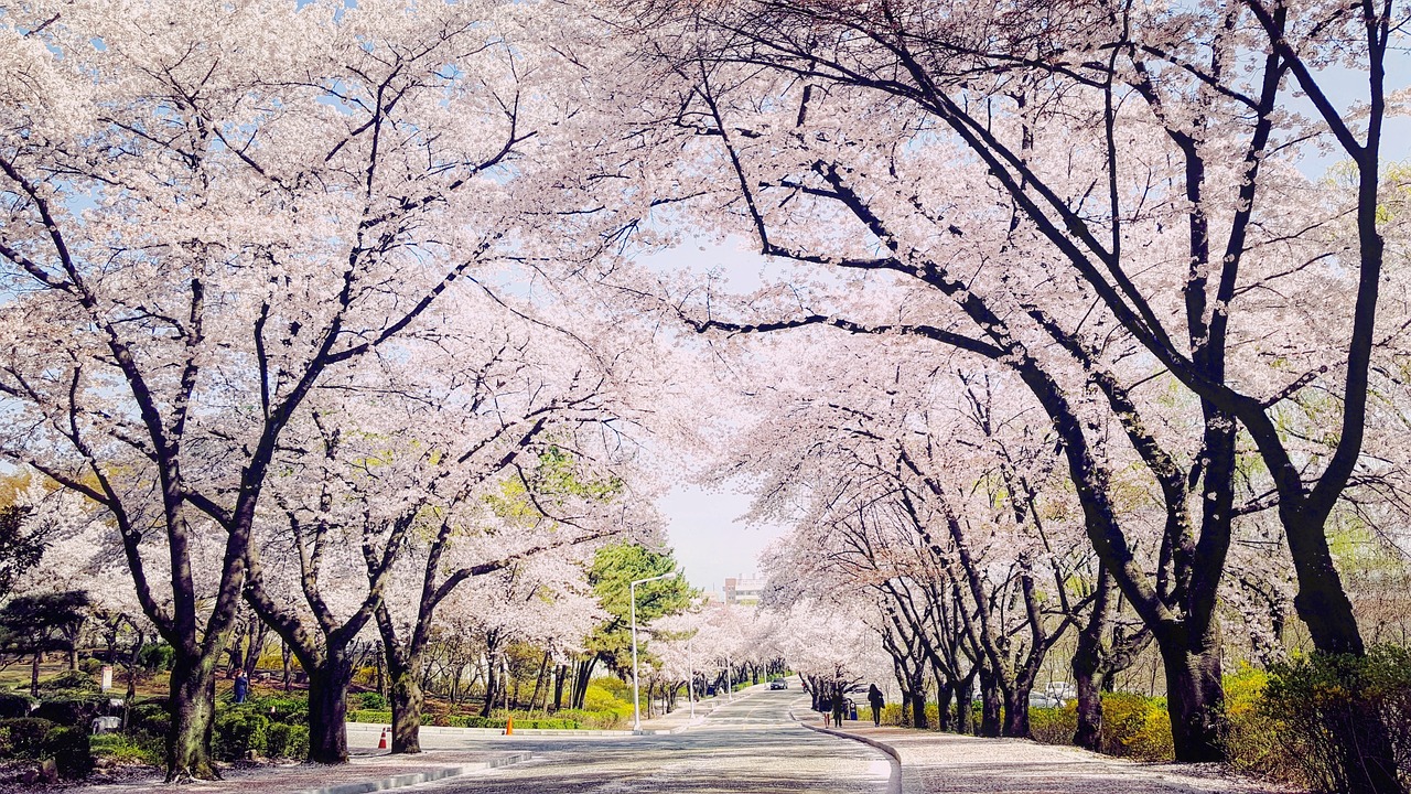 대구 향토역사관
