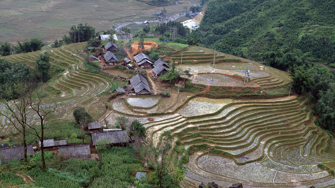 리 스트로벨 예수는 역사다