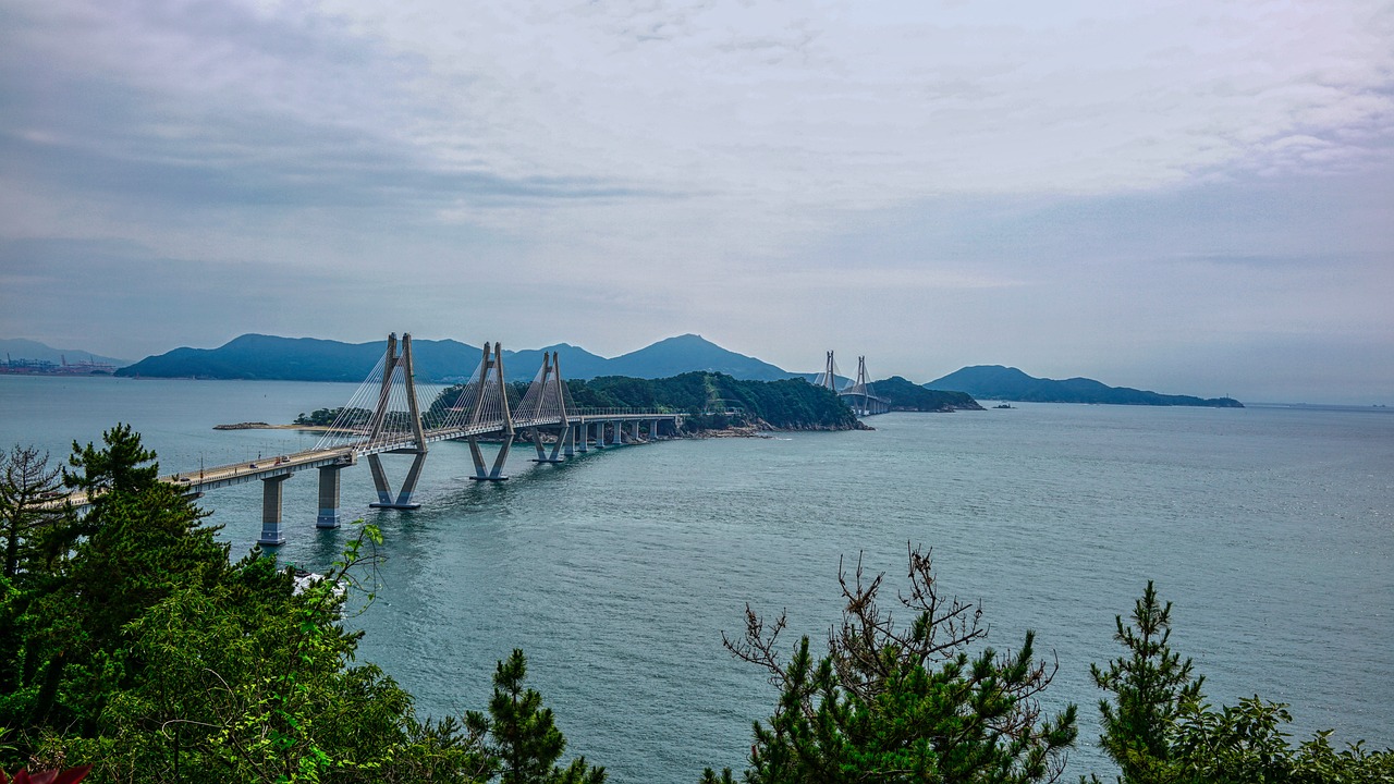 중학생 역사 키트